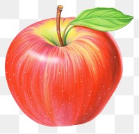 PNG Apple drawing fruit plant. AI generated Image by rawpixel.