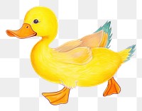 PNG Duck cartoon drawing animal. AI generated Image by rawpixel.