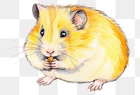 PNG Hamster eating seed rat drawing rodent. AI generated Image by rawpixel.