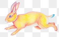 PNG Rabbit drawing animal rodent. AI generated Image by rawpixel.