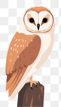 PNG A barn owl animal nature bird. 