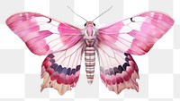 Butterfly insect animal moth. AI generated Image by rawpixel.