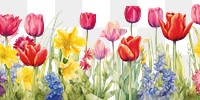 PNG  Tulip painting outdoors blossom. AI generated Image by rawpixel.