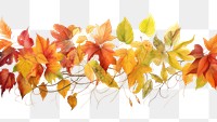 PNG  Autumn leaves backgrounds plant leaf. AI generated Image by rawpixel.