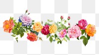 PNG  Roses pattern flower plant
