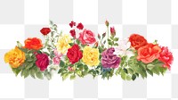 PNG Roses garden pattern drawing flower. 