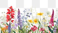PNG  Summer flowers backgrounds outdoors blossom. 