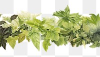 PNG  Summer leaves plant green herbs. AI generated Image by rawpixel.