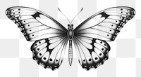PNG Vintage butterfly drawing sketch animal. AI generated Image by rawpixel.