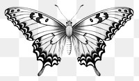 PNG Vintage butterfly drawing sketch animal. AI generated Image by rawpixel.