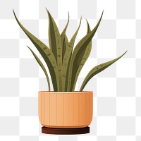PNG Sansevieria plant houseplant flowerpot. AI generated Image by rawpixel.