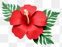 PNG Hibiscus flower plant leaf. AI generated Image by rawpixel.