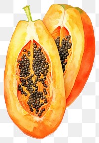 PNG Papaya sliced fruit plant food. AI generated Image by rawpixel.