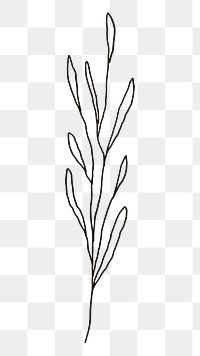 PNG  Herb drawing sketch plant. AI generated Image by rawpixel.