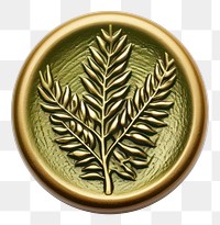 PNG Fern leaf jewelry locket gold. 