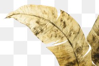 PNG Banana leaf art backgrounds plant. AI generated Image by rawpixel.