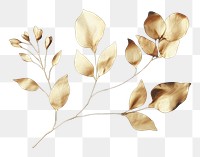 PNG Simple minimal dry orchid gold plant leaf art. AI generated Image by rawpixel.