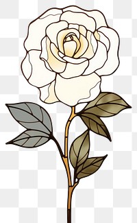 PNG  Glass Camellia drawing flower sketch. AI generated Image by rawpixel.