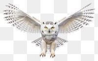 PNG  Owl in flight bird owl animal. AI generated Image by rawpixel.