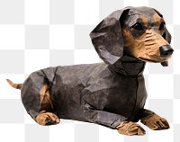 PNG Dachshund animal mammal paper. 