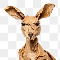 PNG Kangaroo origami animal mammal. 