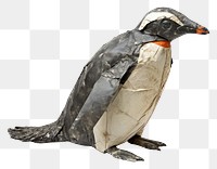 PNG Penguin wildlife animal bird. AI generated Image by rawpixel.
