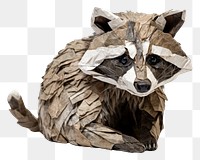 PNG Raccoon animal mammal white background. AI generated Image by rawpixel.