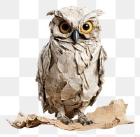 PNG Owl animal paper bird. AI generated Image by rawpixel.