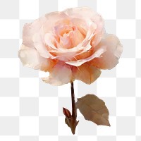 PNG Rose flower painting blossom petal