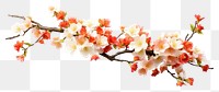 PNG Flower blossom branch plant. AI generated Image by rawpixel.