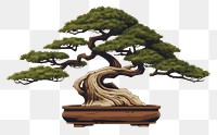 PNG Bonzai bonsai plant tree. 