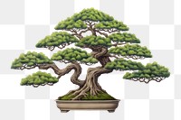 PNG Bonzai bonsai plant tree. 