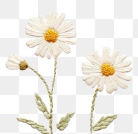 PNG Little white Daisy pattern daisy backgrounds. AI generated Image by rawpixel.