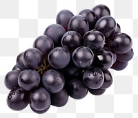 PNG  Black grapes fruit berry plant