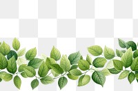 PNG  Leaf plant green herbs