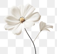 Blossom flower petal plant. AI generated Image by rawpixel.