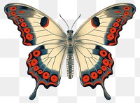 PNG Butterfly pattern drawing animal. AI generated Image by rawpixel.
