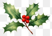 PNG Christmas holly christmas plant leaf. AI generated Image by rawpixel.