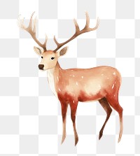 PNG Reindeer wildlife antler animal. AI generated Image by rawpixel.
