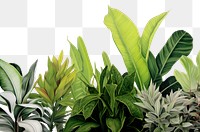 PNG  Tropical leaves backgrounds plant green. AI generated Image by rawpixel.