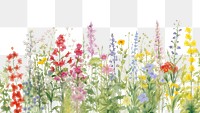 PNG  Pastel flowers backgrounds outdoors blossom AI generated Image by rawpixel