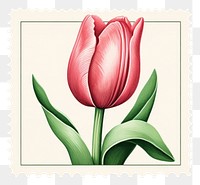 PNG Cute tulip graphic illustration flower plant inflorescence. AI generated Image by rawpixel.