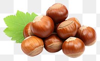 PNG  Hazelnuts vegetable plant food. AI generated Image by rawpixel.