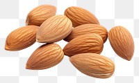 PNG  Almond nuts food white background freshness. AI generated Image by rawpixel.