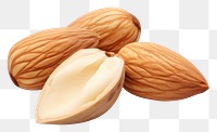 PNG  Almonds plant food nut. AI generated Image by rawpixel.