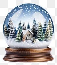 PNG Globe christmas plant snow. 