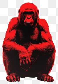 PNG Wildlife gorilla monkey mammal AI generated Image by rawpixel
