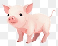 PNG Pig livestock animal mammal transparent background