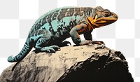 PNG Chameleon reptile animal lizard. AI generated Image by rawpixel.