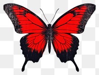 PNG Butterfly animal insect red. AI generated Image by rawpixel.